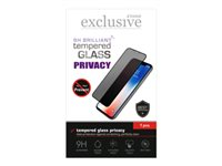 Insmat Exclusive - Skjermbeskyttelse for mobiltelefon - full skjerm - glass - med personvernsfilter - rammefarge svart - for Apple iPhone Air 861-1673