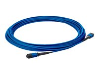 HPE Premier Flex - Nettverkskabel - MPO-multimodus (hann) til MPO-multimodus (hann) - 10 m - 10 m - fiberoptisk - 50 / 125 mikroner - OM4 - for HPE SN3600B 32, SN6000; StoreFabric SN3600, SN6600B 32, SN6610, SN6650, SN8600B 4-slot QK729A
