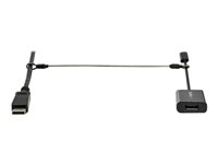 StarTech.com 20-Pack Security Cable Tethers for Adapters & Dongles, Universal Cable Adapter Tether, Tether Cables, Adjustable Length Anti-Theft Cable Tether Lock Kit, Steel Cable Tether - Dongle Cable Tether (CONNLOCKPK20) - Sikkerhetskabel - sølv - 30 cm - TAA-samsvar CONNLOCKPK20
